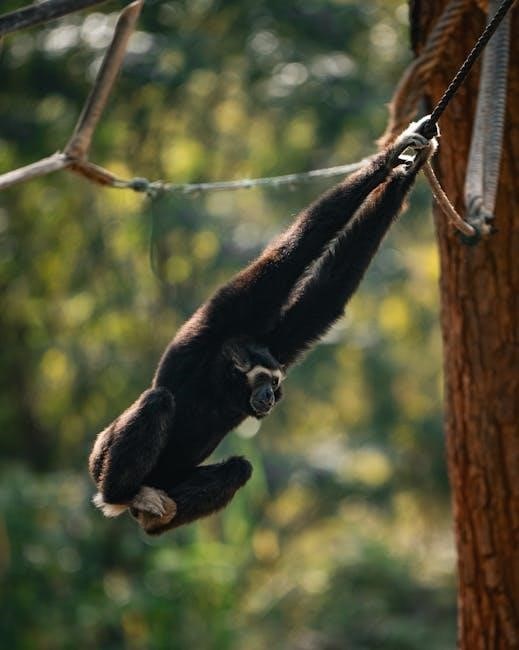 tirzepatide reconstitution calculator pdf free download