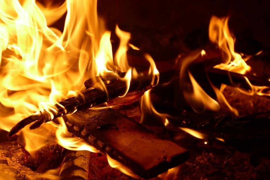 illusion gas log fire instruction manual